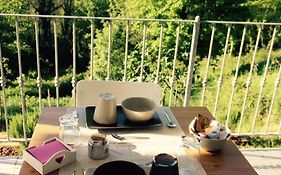 Agriturismo Angiò nel Cerè